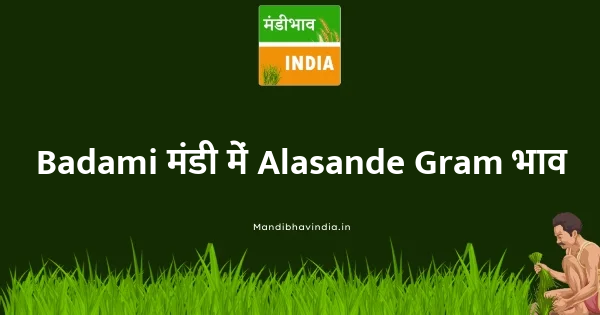 Alasande Gram भाव